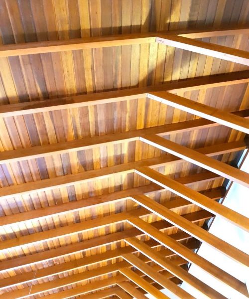 279586295_124381923541729_6254961790952607353_n